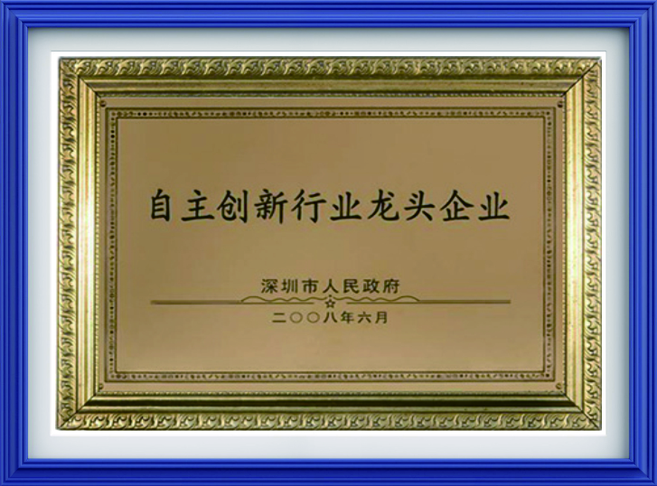 自主创新行业龙头企业